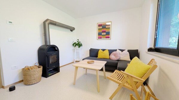 Living room with pull-out sofa (200x130cm)