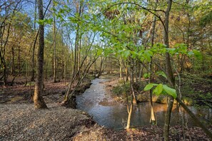 A private creek that runs behind the cabin