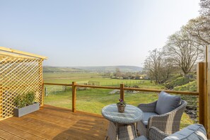 Back Garden