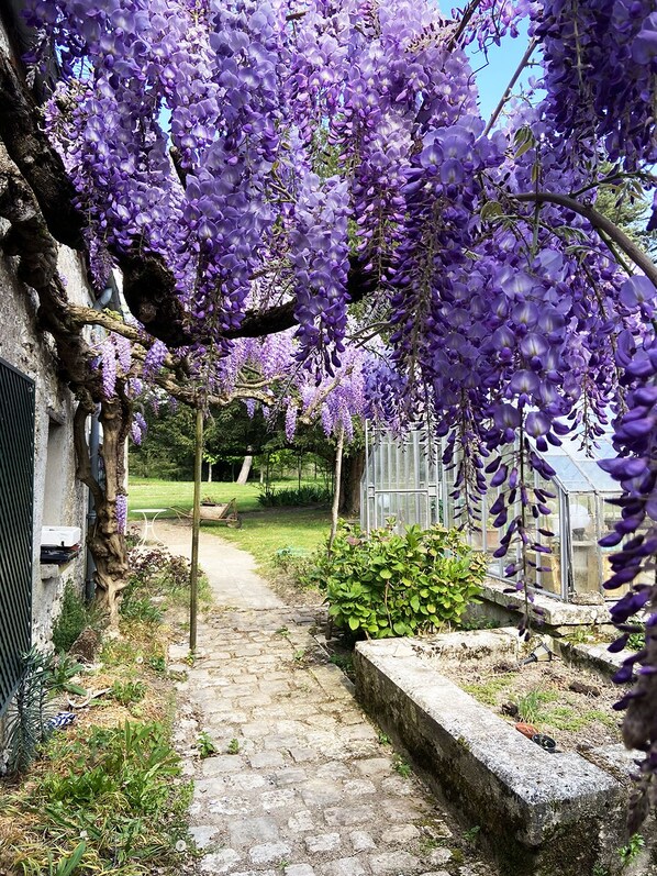 Jardines del alojamiento