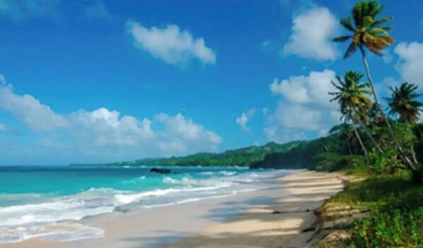 The beach life here in Puerto Plata