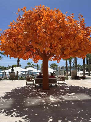 Outdoor banquet area