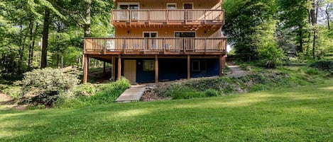 Spacious Back Yard for enjoying nature