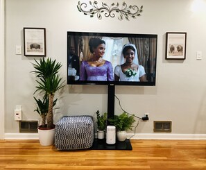 Television