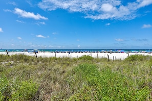 Beautiful Beach