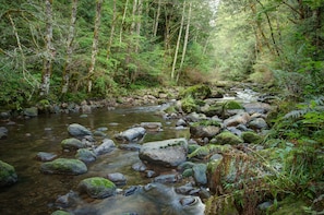 Terrain de l’hébergement 