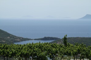 view