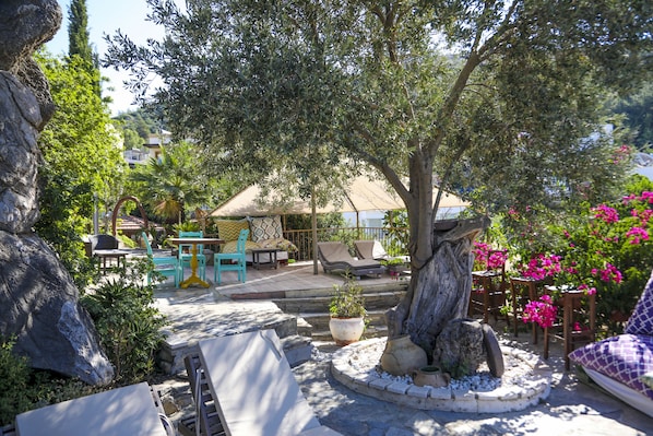 Terrass/Patio