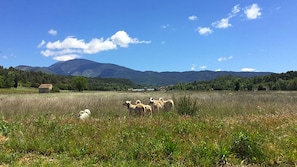 Terrain de l’hébergement 