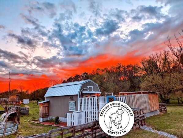 Welcome to Silver Chalet! Where lush green pasture and mini goats await!