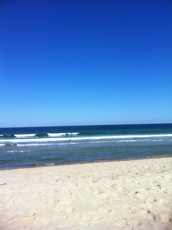 Steps from this private beach - yes, that is Nauset