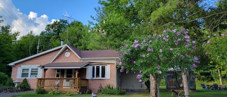 Simple Life Cottage