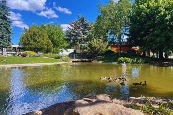 Relax on a quiet walk around the complex where you'll find ducks swimming about