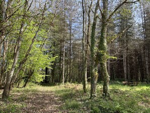 Terrain de l’hébergement 