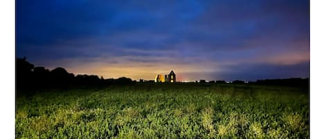 Vue du jardin le soir au couchant du soleil 