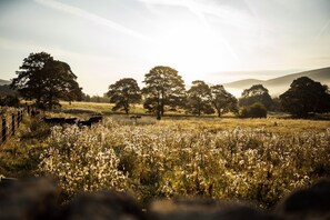 Spectacular farm, mountain and nature views