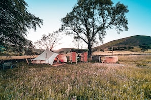 Site setup