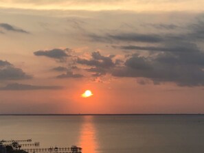 Chasing the sun as it kisses the horizon on Pensacola Beach. An evening painted in hues of gold and crimson, where the world pauses to witness nature's breathtaking masterpiece. 🌅🏖️ #SunsetMagic #PensacolaBeauty #BeachEuphoria