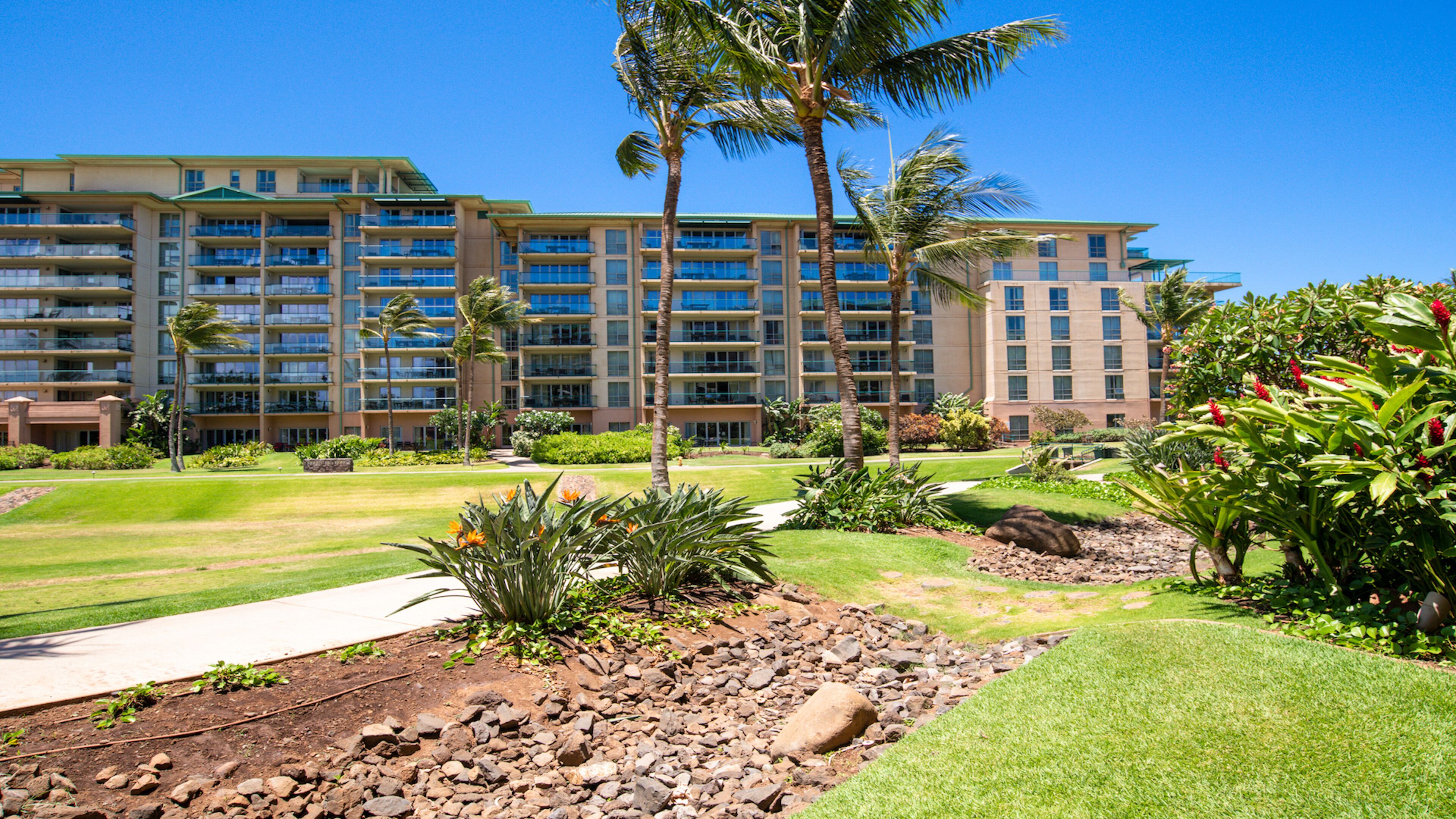 Ground Floor Luxury, Perfect Family Spot, Quiet Lanai to Ground Floor Luxury, Perfect Family Spot, Quiet Lanai to