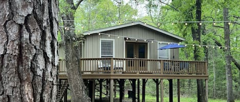 Getaway in this treehouse and hideout on this 1/2 acre gem!