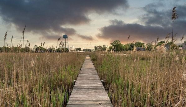 Your private dock to swan creek.