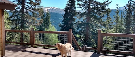 Furry family is welcome at the Alpine Haus property