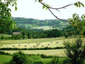 Boendeområde