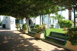 Garten [Sommer]