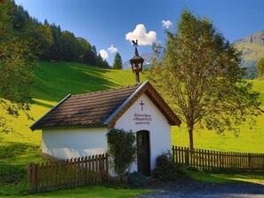 Himmel, Pflanze, Wolke, Grün, Natürliche Landschaft, Baum, Berg, Hochland, Grundstueck, Gras