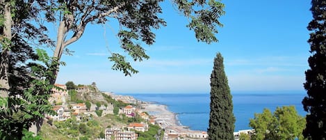 Water, Sky, Cloud, Water Resources, Azure, Tree, Natural Landscape, Beach, Coastal And Oceanic Landforms, Plant