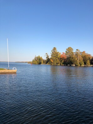 Järvi