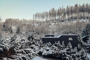 Main view