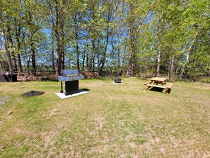 BBQ, firepit picnic area, shared space for both suites.