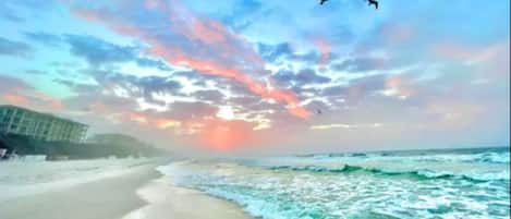 Playa