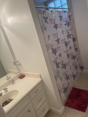 Guest bath room