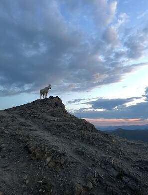 Sunrise hike to Mt. Aneas