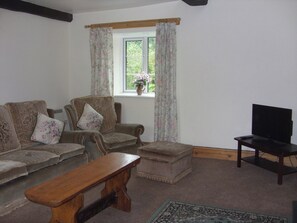 Living area | Daisy Cottage - East Hook Holiday Cottages, Okehampton