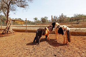 Εξωτερικός χώρος καταλύματος