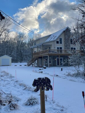 One of many snowy days