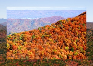 Come see the colors change! Fall foliage in the Blue Ridge Mountains