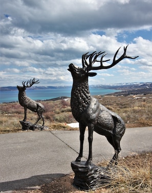 The Twin Elks