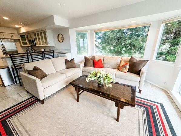 Downstairs - LIVING ROOM (both couches have memory foam pull out beds)