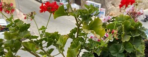 Innendetails
