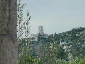 view