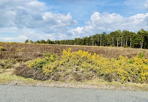 Boendeområde