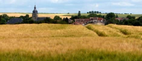 Clocher du village vu des champs de blé 