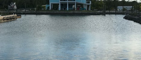 House from the canal side - Note: Dockage for boats as well as power and water 