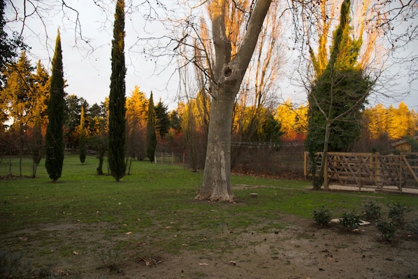 Boendeområde
