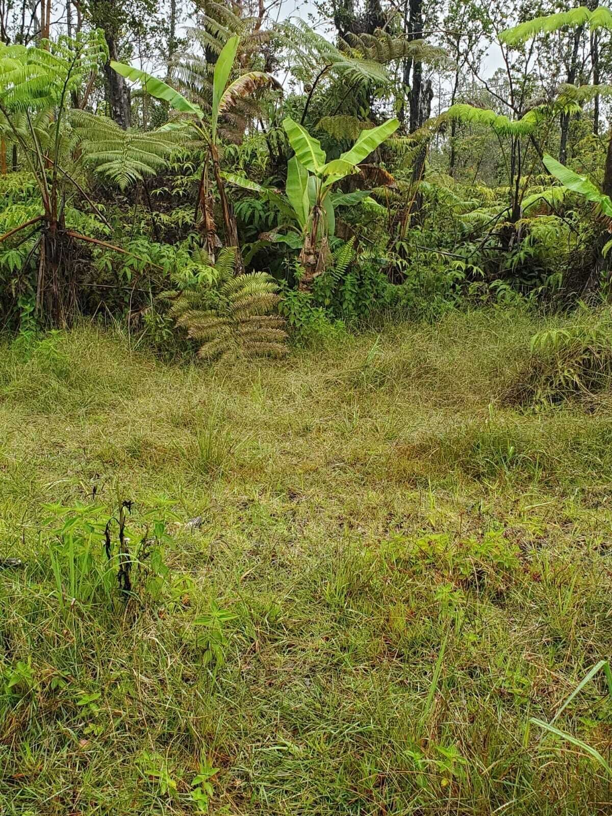 Hawaiian Naturist Park RV site #1 w/pool-showers
