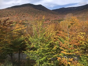 View from the deck in Fall
